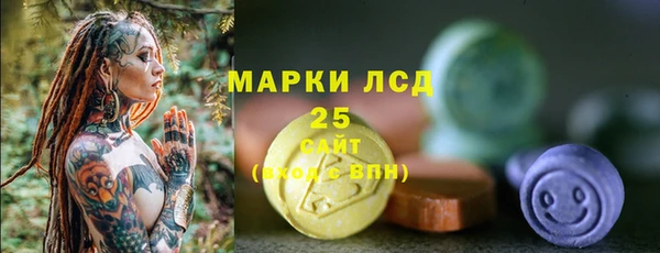 сатива Каменск-Шахтинский