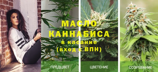 прущие крисы Каменногорск