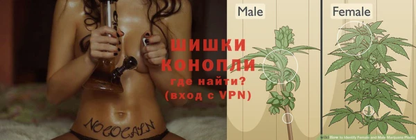 индика Зеленокумск