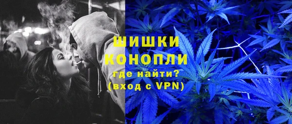 сатива Каменск-Шахтинский
