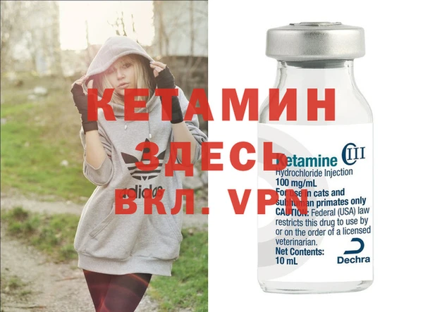 сатива Каменск-Шахтинский