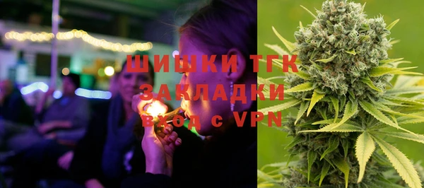 сатива Каменск-Шахтинский